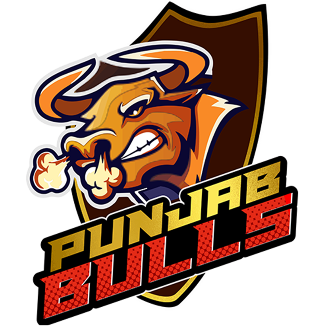 Punjab Bulls
